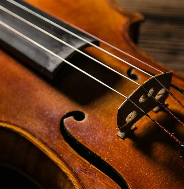 Close-up of a violin's strings and bridge on a wooden surface, highlighting the instrument's curves and rich wood texture.