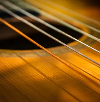 Close up of guitar strings