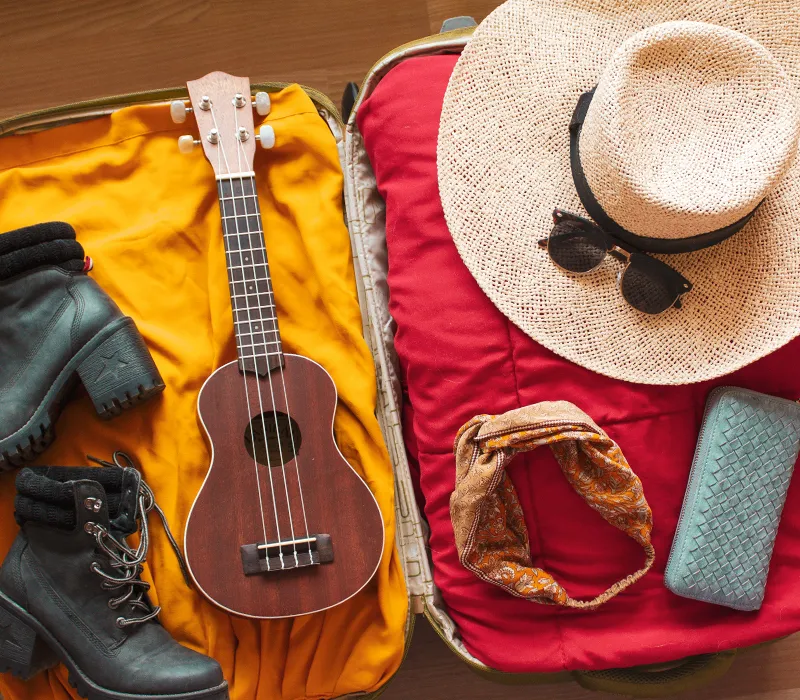 Instrument in open suitcase case