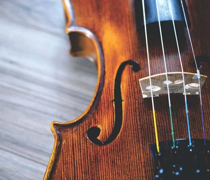 Close-up view of a violin's body, showing the f-holes, strings, and part of the bridge on a wooden surface.