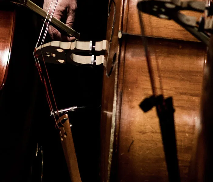 Close-up of a musician's hand playing a double bass, with the strings and body of the instrument prominently displayed.