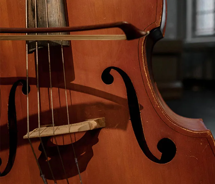 Close-up of a cello showing its strings, bridge, and f-hole, set against a blurred indoor background with diffused light.